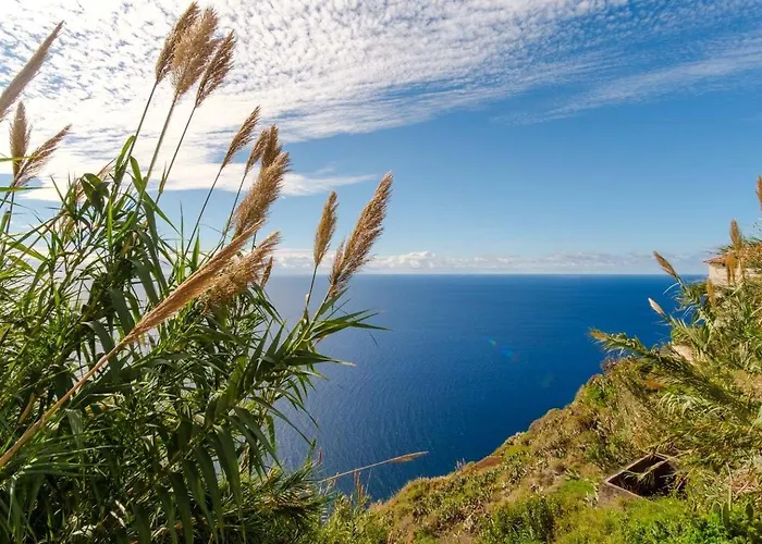 빌라 Guestready - Madeiran Oasis With Ocean View